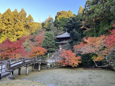 🏯 쇼렌인 (Shōren-in)